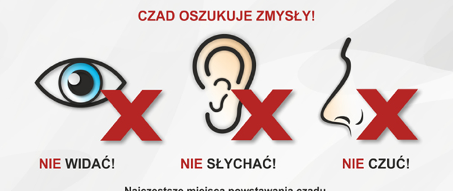 Infografika Czujka na straży bezpieczeństwa