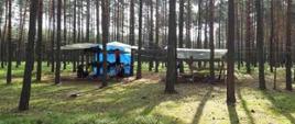 Na zdjęciu w lesie pomiędzy drzewami konstrukcje obozu harcerskiego: dwa zadaszenia wykonane z plandek, stempli oraz sznurków. Zdjęcie wykonane w słoneczny dzień.