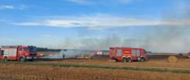 Na zdjęciu znajduje się palące się ściernisko. Na pierwszym planie widać 2 wozy strażackie oraz strażaków, którzy gaszą ogień. W tle widać inne wozy strażackie oraz maszyny rolnicze.