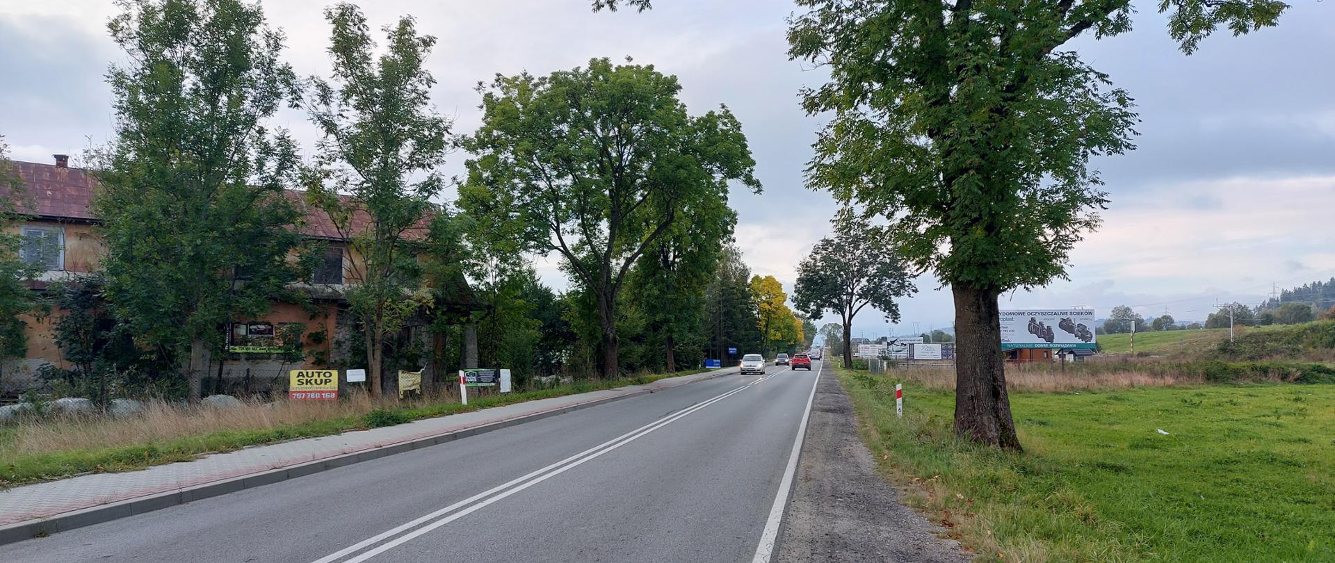 Zajęcie drogi krajowej nr 47 na odcinku Nowy Targ - Szaflary. Jedna jezdnia po jednym pasie ruchu. Po obu stronach jezdni widoczne banery reklamowe. Z lewej strony budynek za drzewami