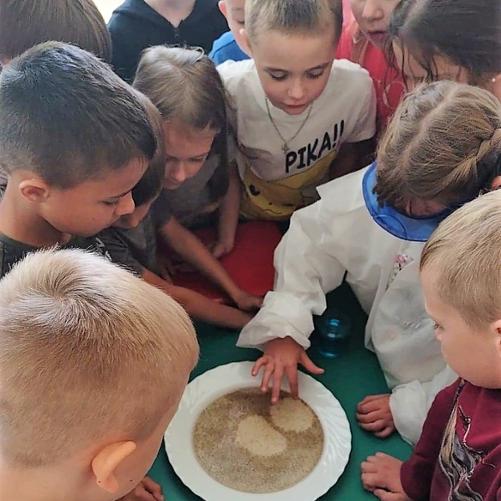 Doświadczenie z wodą i mydłem