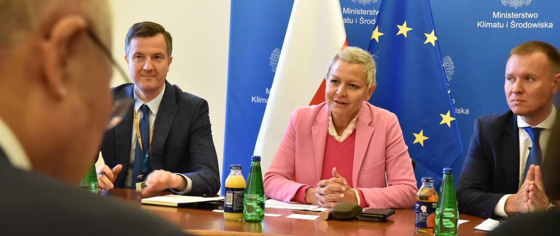 Spotkanie wiceminister Anny Łukaszewskiej-Trzeciakowskiej z nowo wybranym CEO spółki Korea Hydro & Nuclear Power