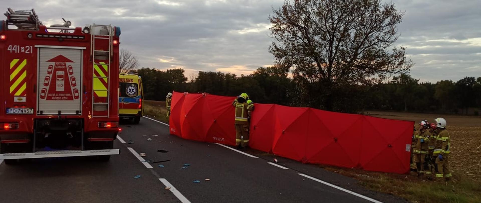 Tragiczny wypadek na trasie Ziemin–Śniaty. Nie żyje jedna z rowerzystek