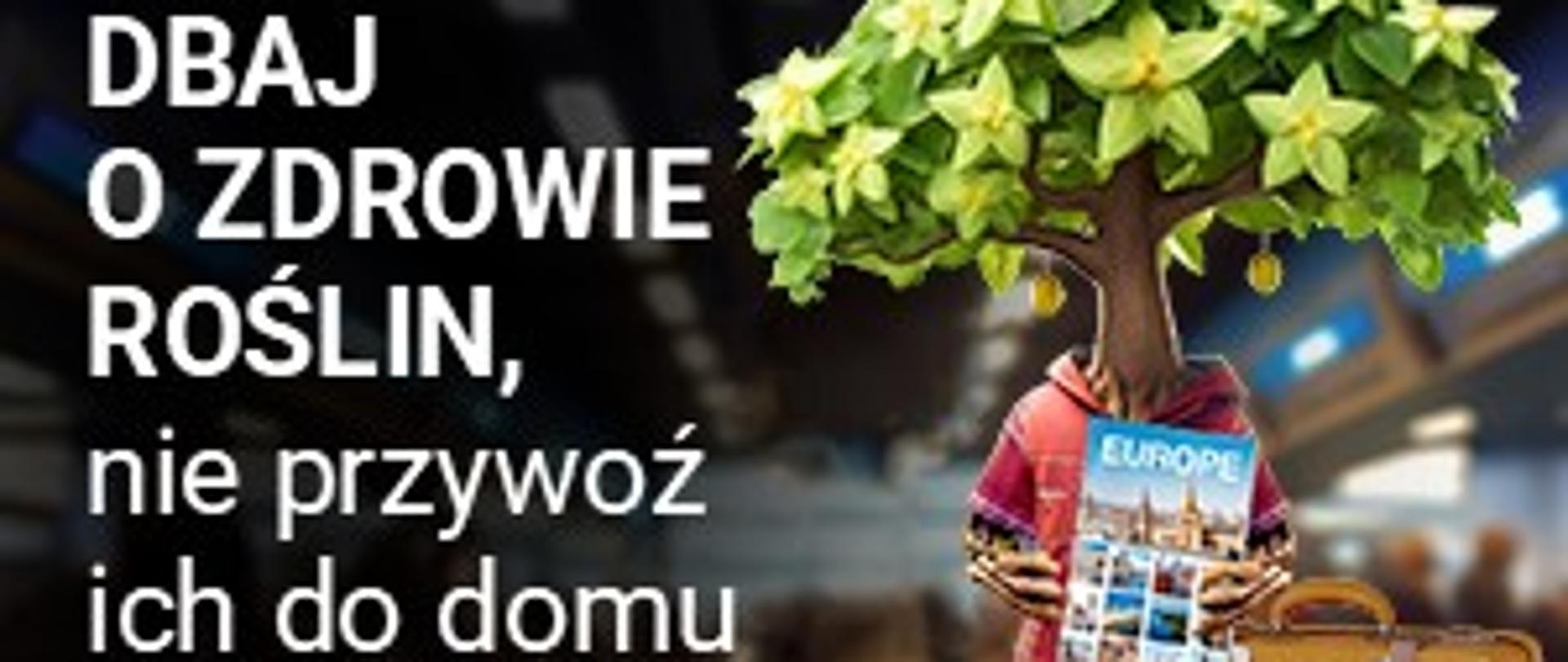 DBAJ O ZDROWIE ROŚLIN, nie przywoź ich do domu #PlanetHealth4Life