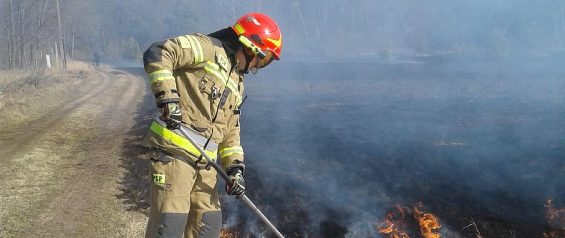 Na zdjęciu widać strażaka, który gasi pożar trawy przy użyciu tłumicy. W oddali widać dużą powierzchnię spalonych nieużytków.