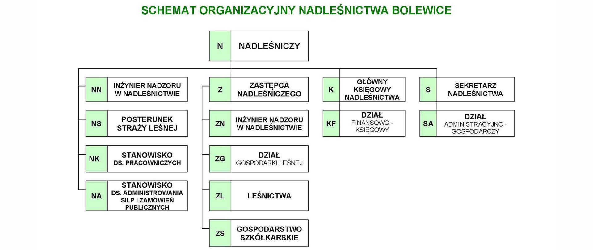 Schemat organizacyjny Nadleśnictwa Bolewice