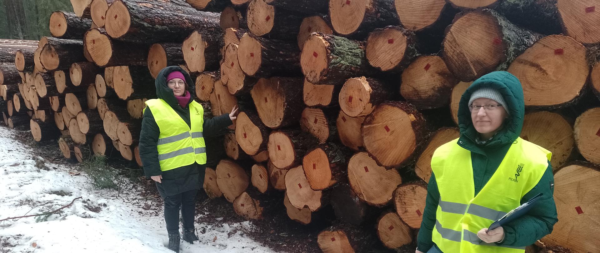 Dwie kobiety w kamizelkach odblaskowych stoją przy ściętych, nieobrobionych pniach drzew