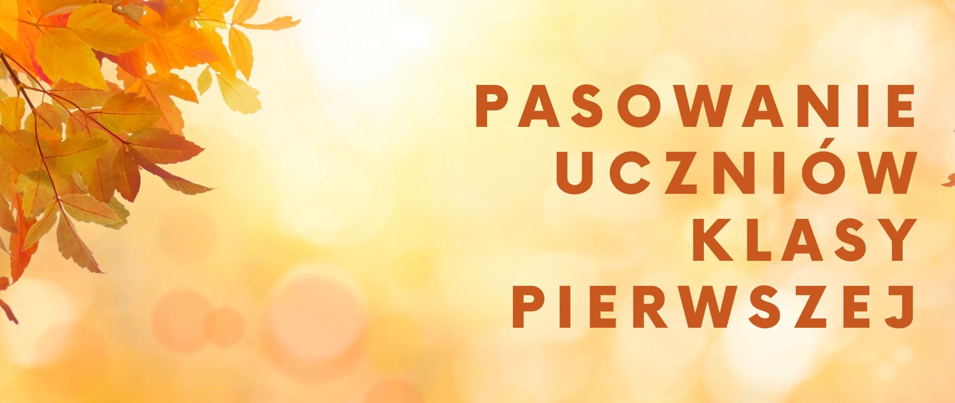 Baner pasowanie uczniów. W lewym górnym rogu liście w kolorze pomarańczowo-brązowym, żółte tło, po prawej napis Pasowanie Uczniów Klasy Pierwszej. 