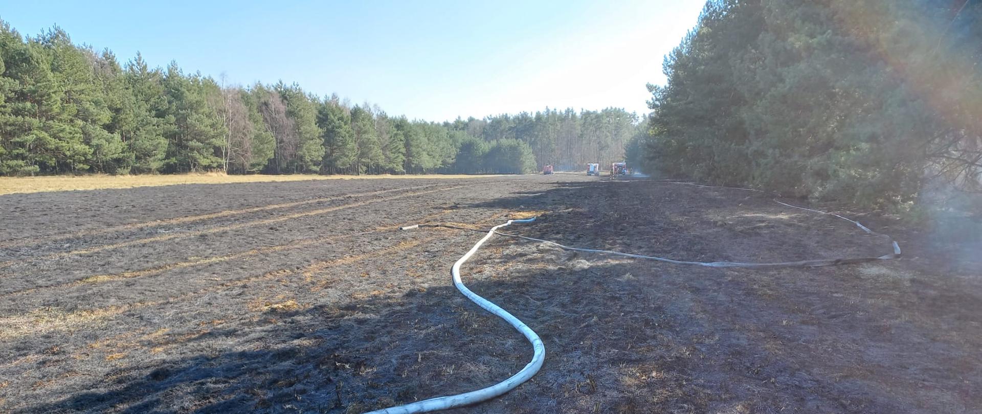 Miejsce - pożarzysko - po spalonej trawie i nieużytkach. W oddali widoczne samochody pożarnicze. W kadrze widoczne odcinki pożarnicze.