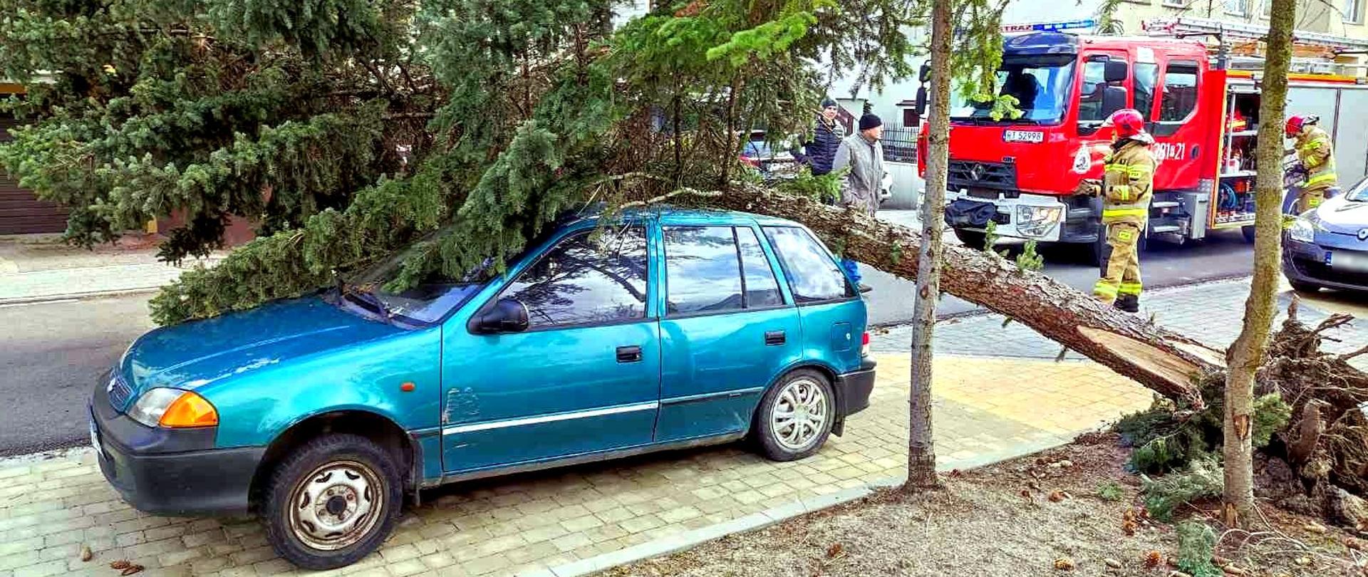 Zdjęcie zrobione na zewnątrz. Na pierwszym planie samochód osobowy, na którym leży złamane drzewo. W tle samochód pożarniczy oraz strażacy prowadzący działania.