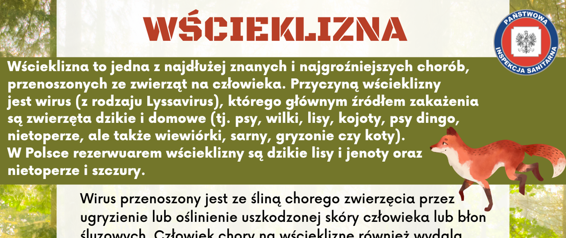 Wścieklizna 