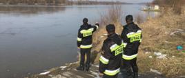 Trzech strażaków stojących na brzegu szerokiej rzeki.Jeden ze strażaków wskazuje na nurt wody. W oddali widoczny prom na rzece, do którego zamocowane są liny. 