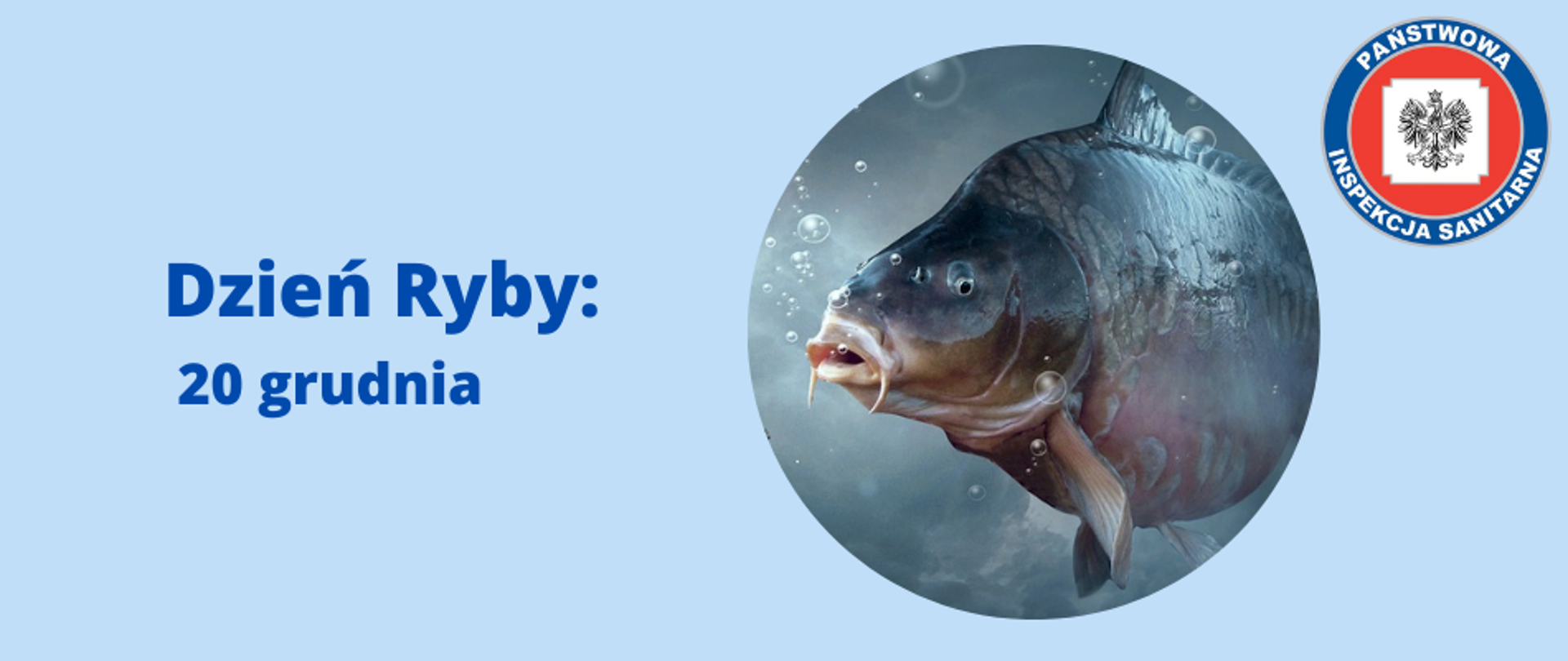 Grafika przedstawia logo z tytułem "Dzień Ryby – 20 grudnia". Po prawej stronie znajduje się okrągła grafika z płynącym żywym karpiem. W prawym górnym rogu grafiki umieszczono logo Państwowej Inspekcji Sanitarnej. Całość na błękitnym tle.