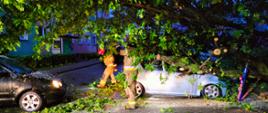 Strażacy PSP przy powalonym przez silny podmuch wiatru drzewie. Drzewo spadło na zaparkowane obok samochody osobowe.