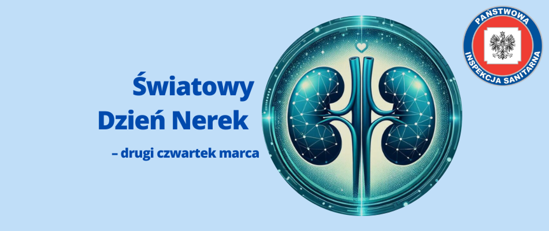Banner promujący Światowy Dzień Nerek z grafiką stylizowanej nerki w nowoczesnym designie na niebieskim tle, z tekstem "Światowy Dzień Nerek - drugi czwartek marca" i logo Państwowej Inspekcji Sanitarnej
