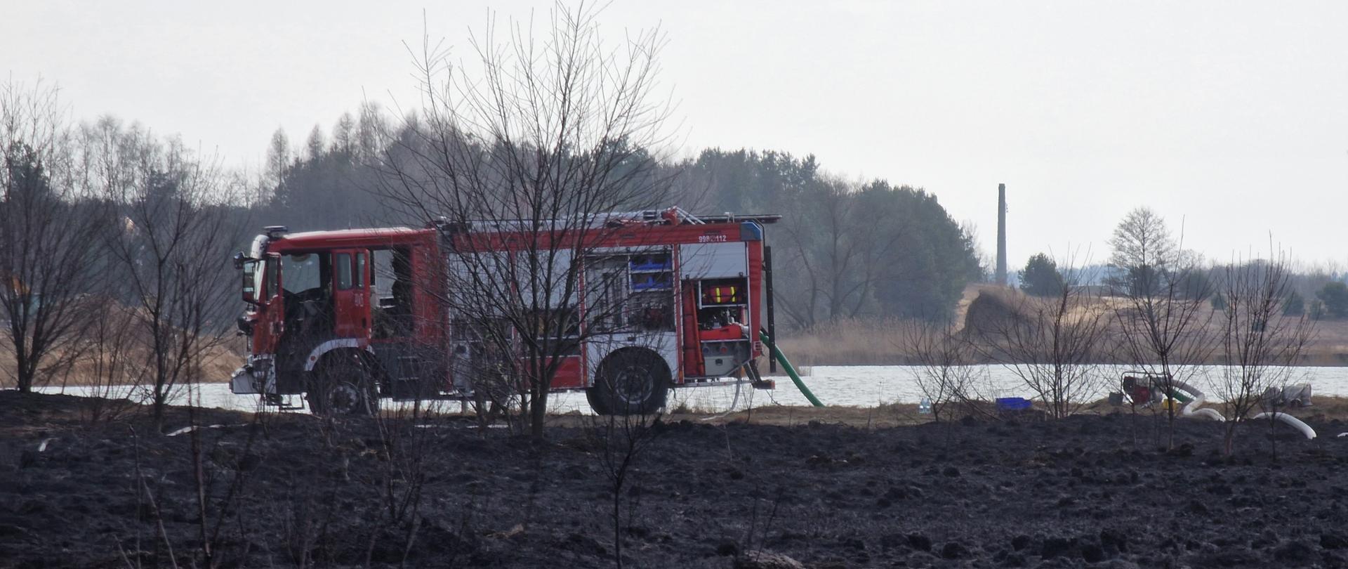 Strażacy dogaszający pożar nieużytkowanych powierzchni rolniczych w Brodach, w tle samochód pożarniczy
