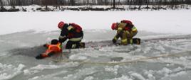 Zdjęcie przedstawia ćwiczenia strażaków PSP z zakresu ratownictawa wodno - lodowego.