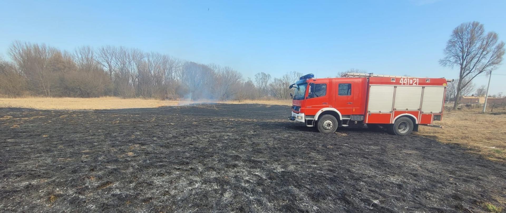 Na zdjęciu widać czerwony samochód strażacki, z numerem 441E21, stojący na spalonej trawie. W tle widać dym, trawę, budynki, drzewa i krzewy. Jest widno.