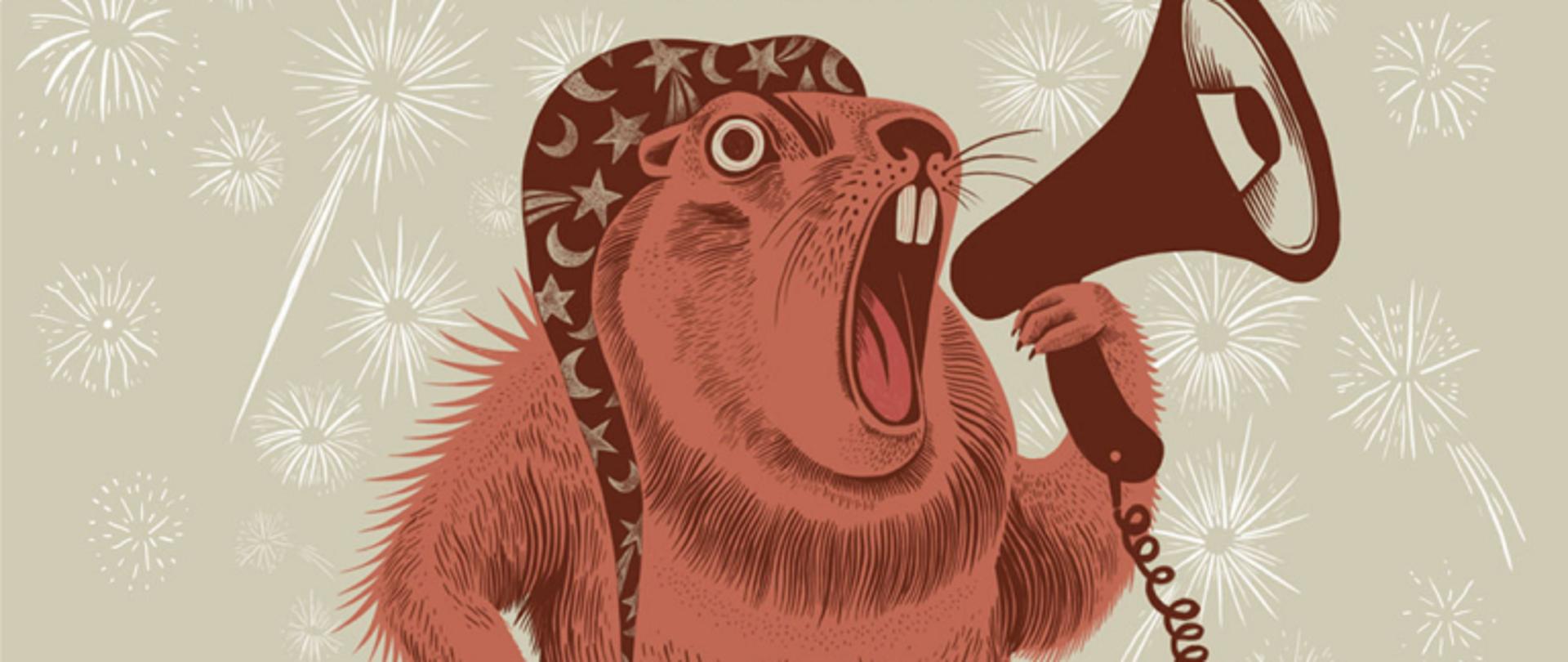 nie strzelaj w sylwestra