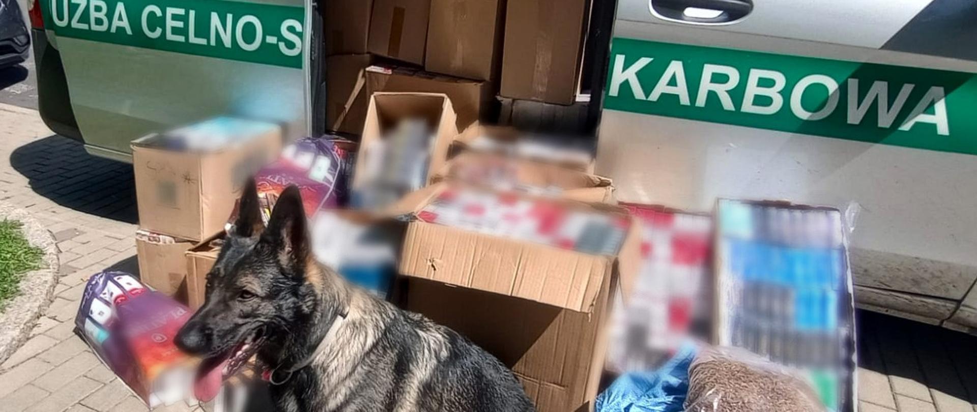 Pies służbowy Ina na tle zatrzymanego towaru (źródło: DUCS)