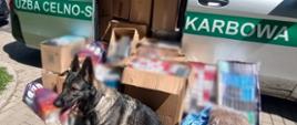 Pies służbowy Ina na tle zatrzymanego towaru (źródło: DUCS)