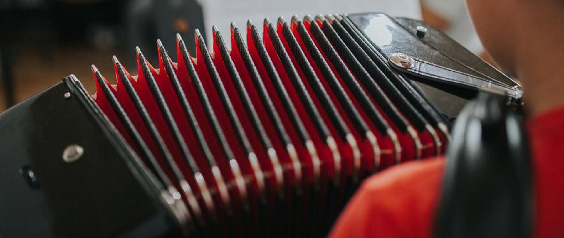 Zdjęcie przedstawiające chłopca grającego na akordeonie