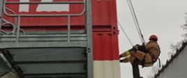 Trzech strażaków ubranych w specjalistyczny sprzęt wysokościowy oraz hełmy stoi na szczycie kontenera strażak zabezpieczony trzymając manekina jest opuszczany na niższy poziom.
