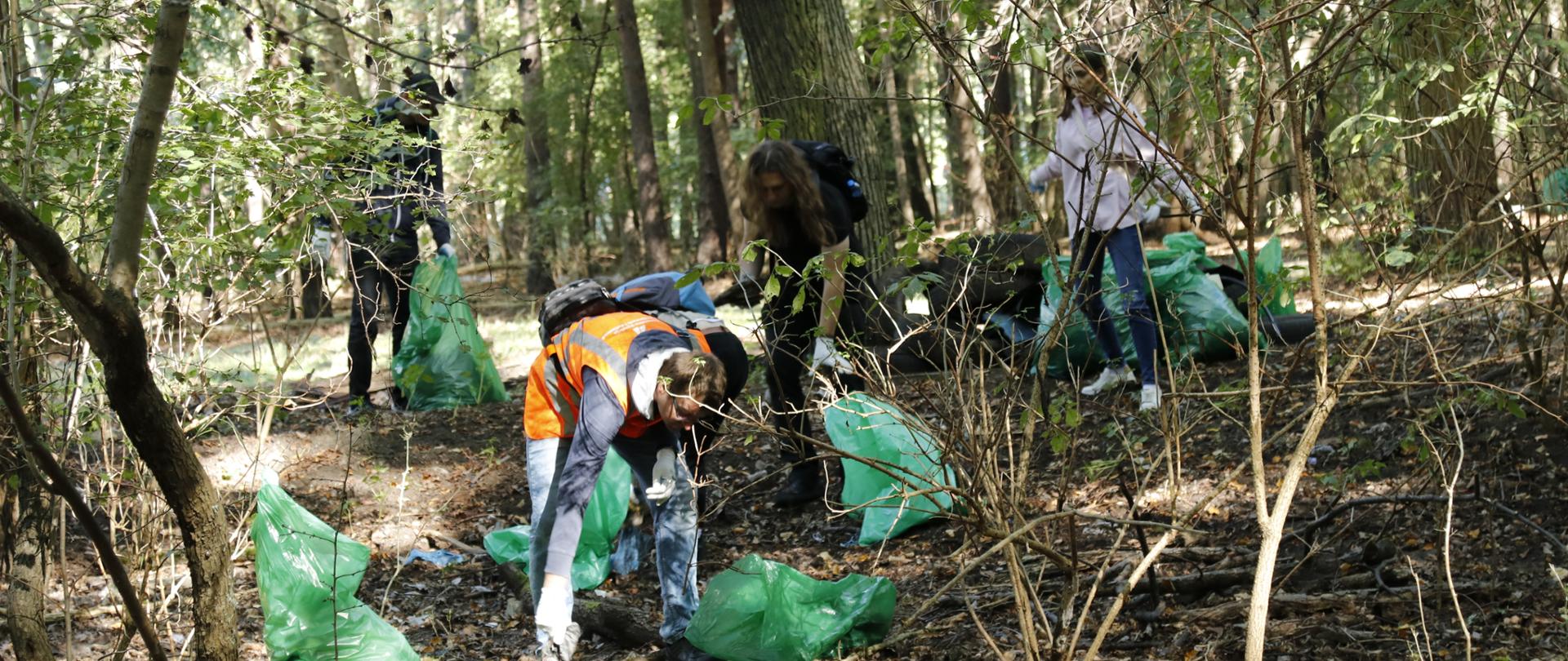 W lesie kilka osób zbiera śmieci. Obok nich leżą worki na śmieci.
