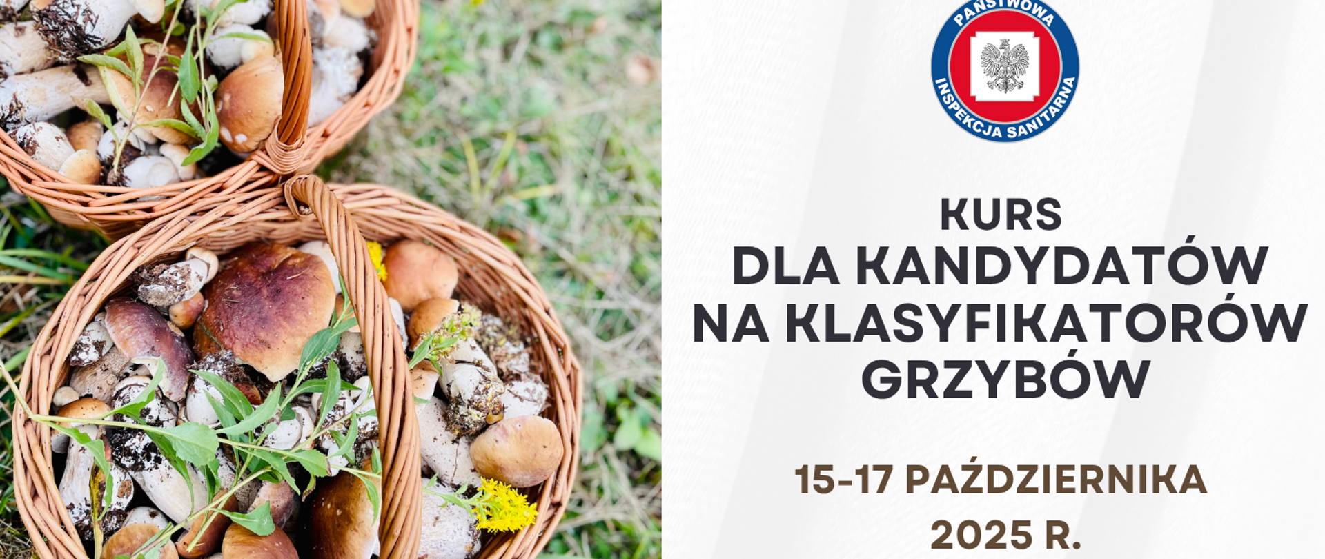 Kurs dla kandydatów na klasyfikatora grzybów.