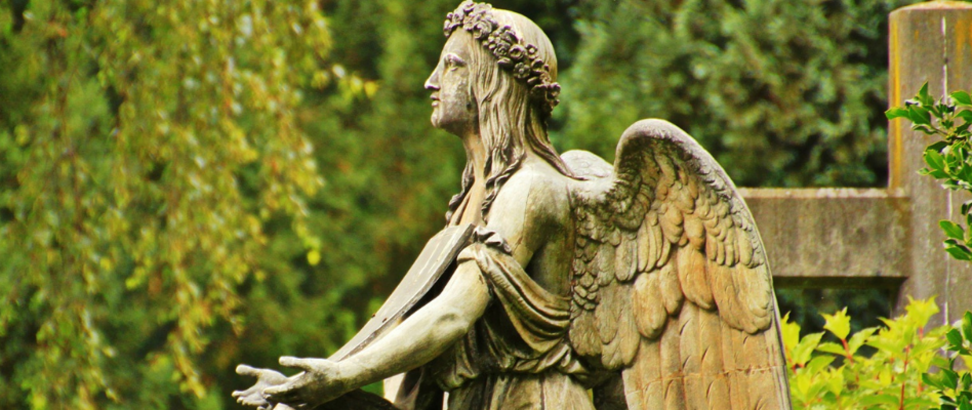Zdjęcie przedstawia fragment nagrobka - kamienny anioł a za nim krzyż, w tle zieleń roślin 