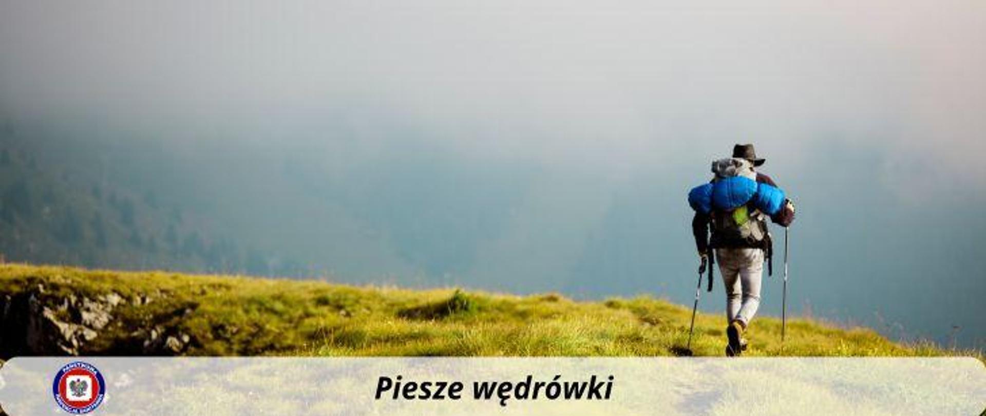 Sylwetka mężczyzny w kapeluszu, z plecakiem na plecach, podpierającego się kijkami podczas wędrówki po zielonym płaskowyżu. W tle mgła okalająca pobliskie szczyty. Poniżej półprzeźroczysty jasny pasek z ciemnym napisem po środku "Piesze wycieczki". Po jego lewej logo Państwowej Inspekcji Sanitarnej. 