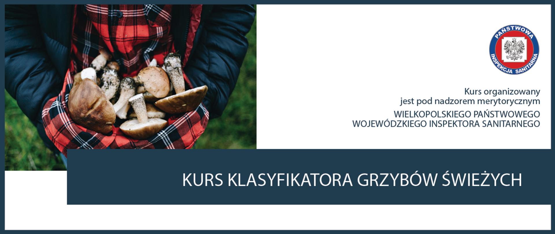 Kurs klasyfikatora grzybów