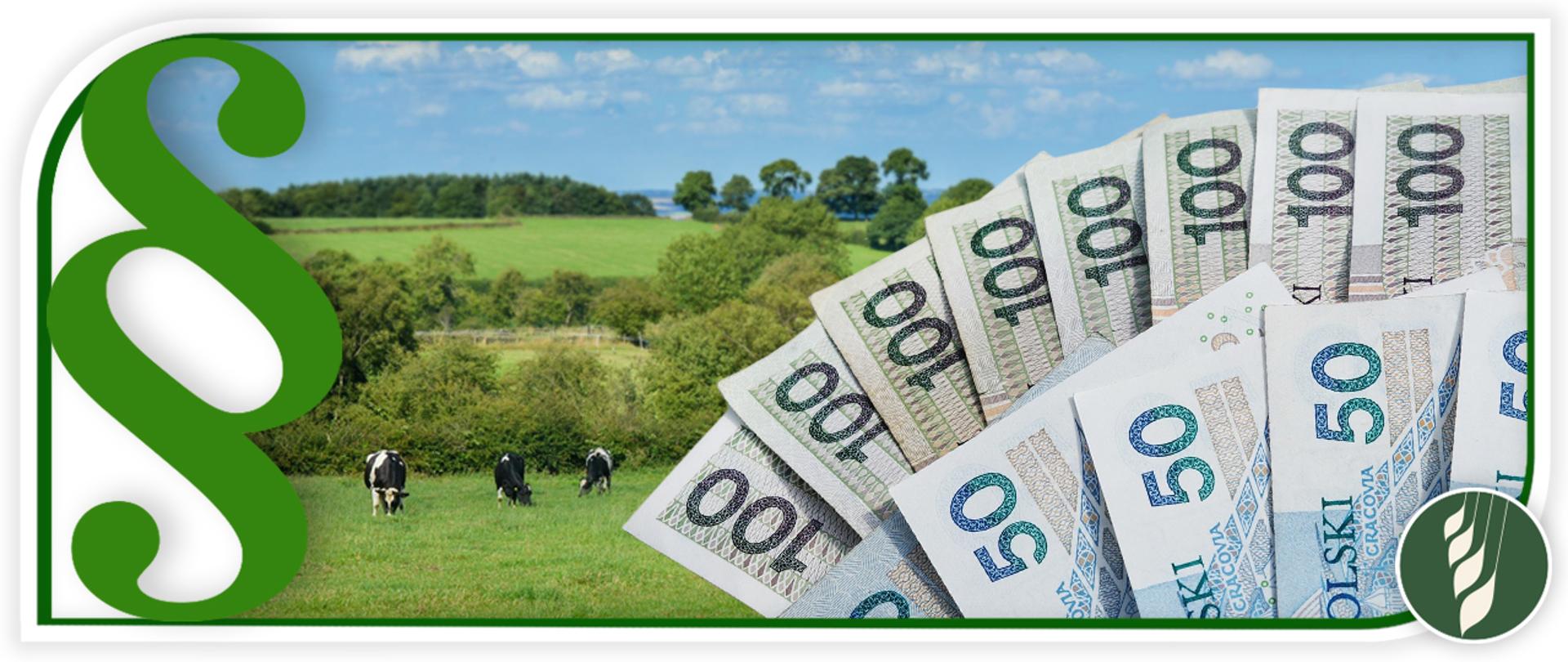 Infografika - usprawnienia wydatkowania środków finansowych