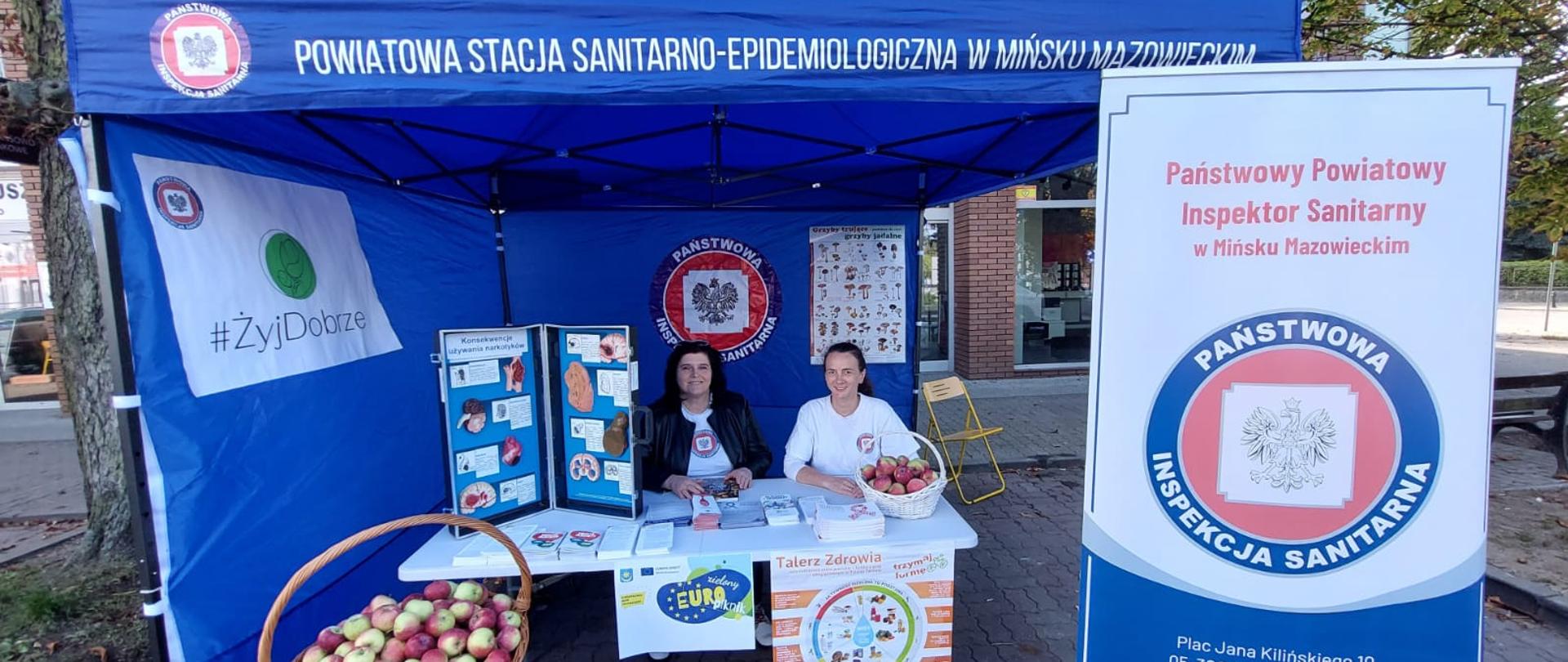 Stoisko profilaktyczno-edukacyjne – Zielony Europiknik w Mińsku Mazowieckim