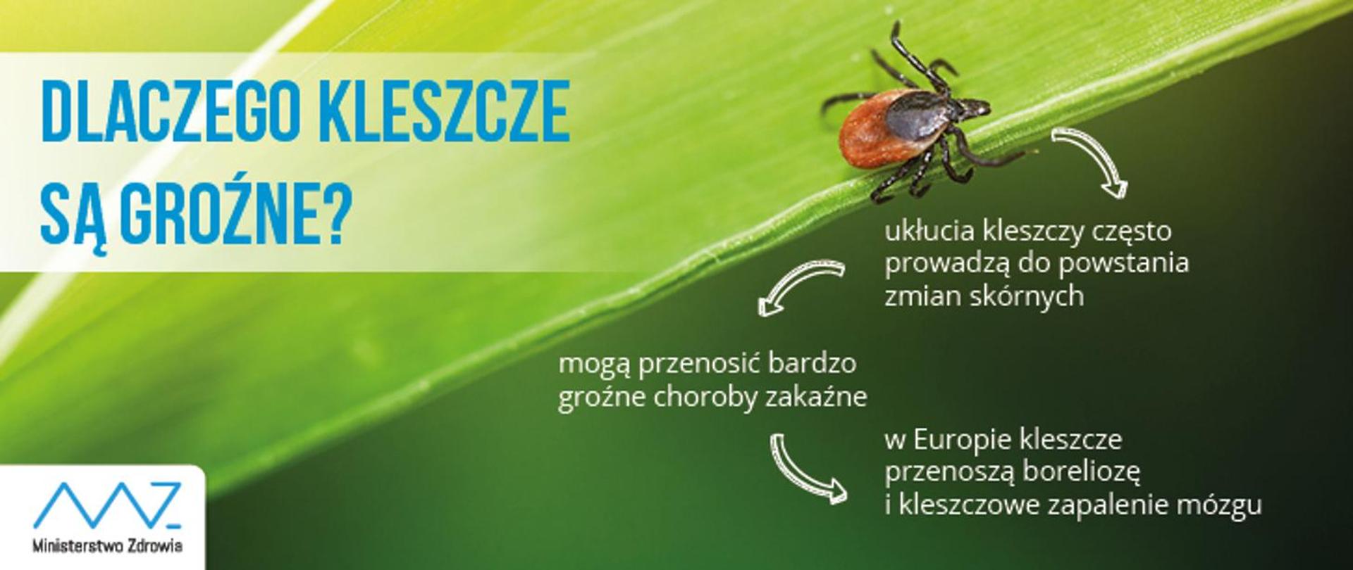 dlaczego są groźne?