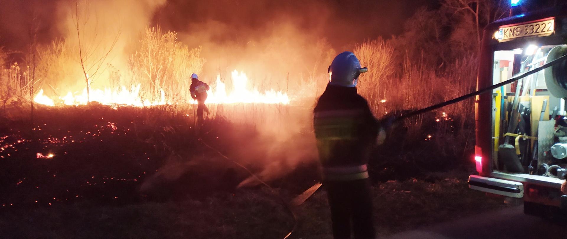 Strażak gasi palącą się trawę. Drugi strażak stoi obok samochodu pożarniczego i rozwija linię wężową.