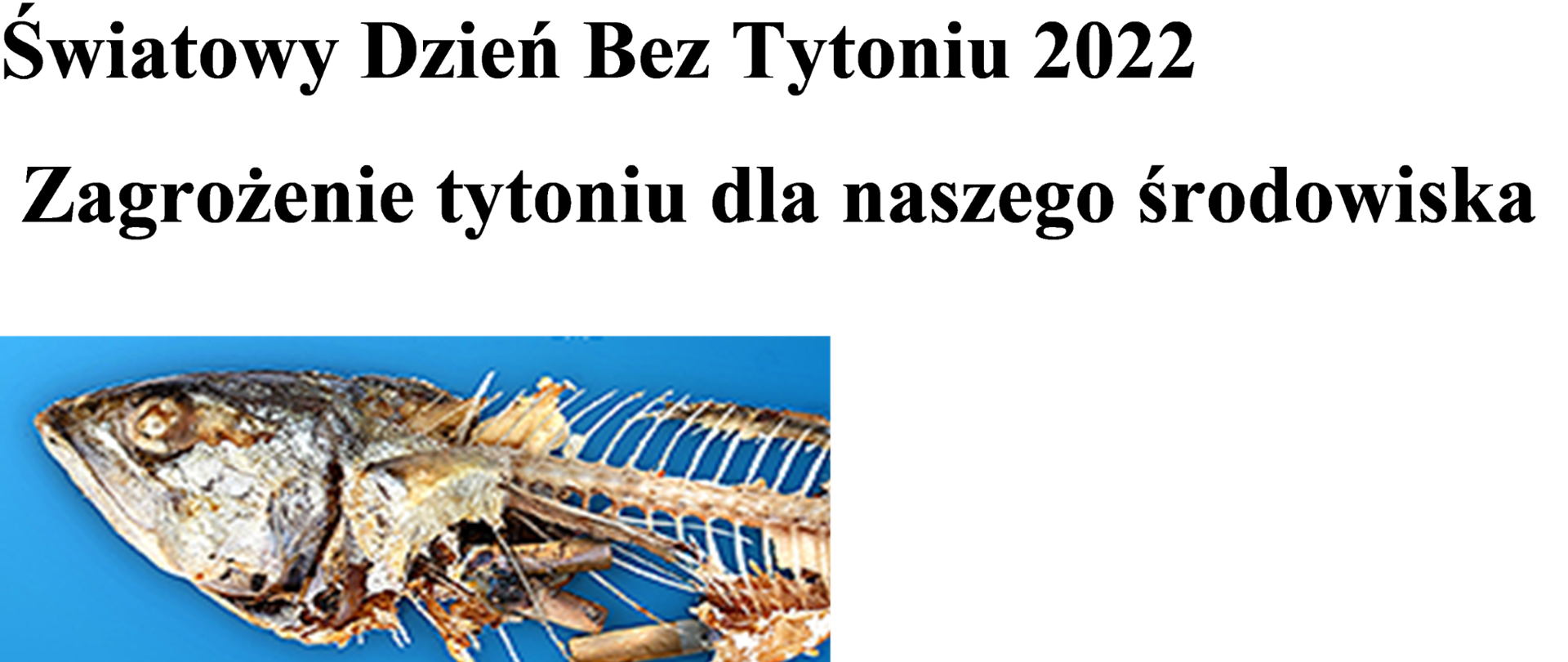 napis Światowy Dzień bez Tytoniu 31 maja