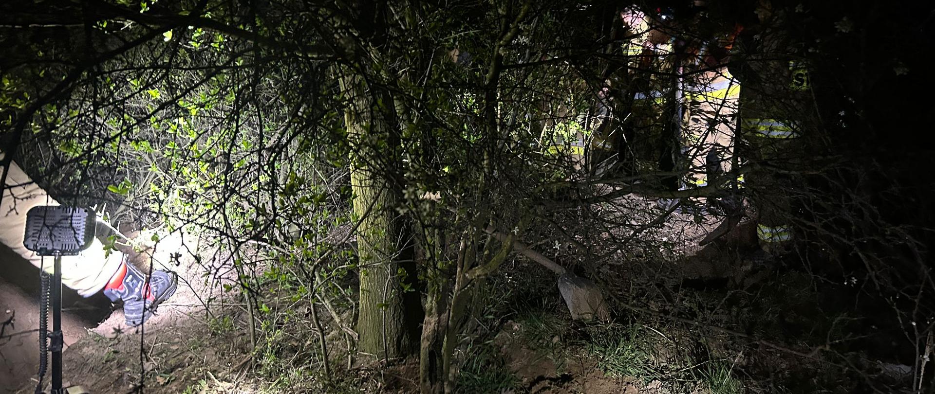 Pies uwięziony w lisiej norze. Nietypowa akcja nyskich strażaków.