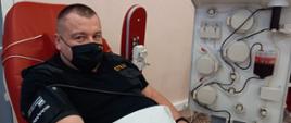 Strażak ozdrowieniec oddający osocze