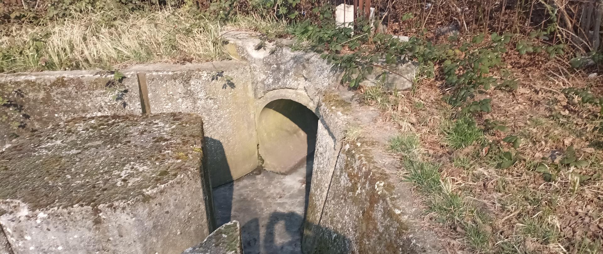 
Bukowa zanieczyszczenie