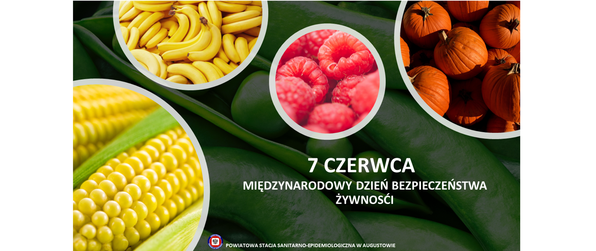 7_czerwca_MDzBŻ_2023