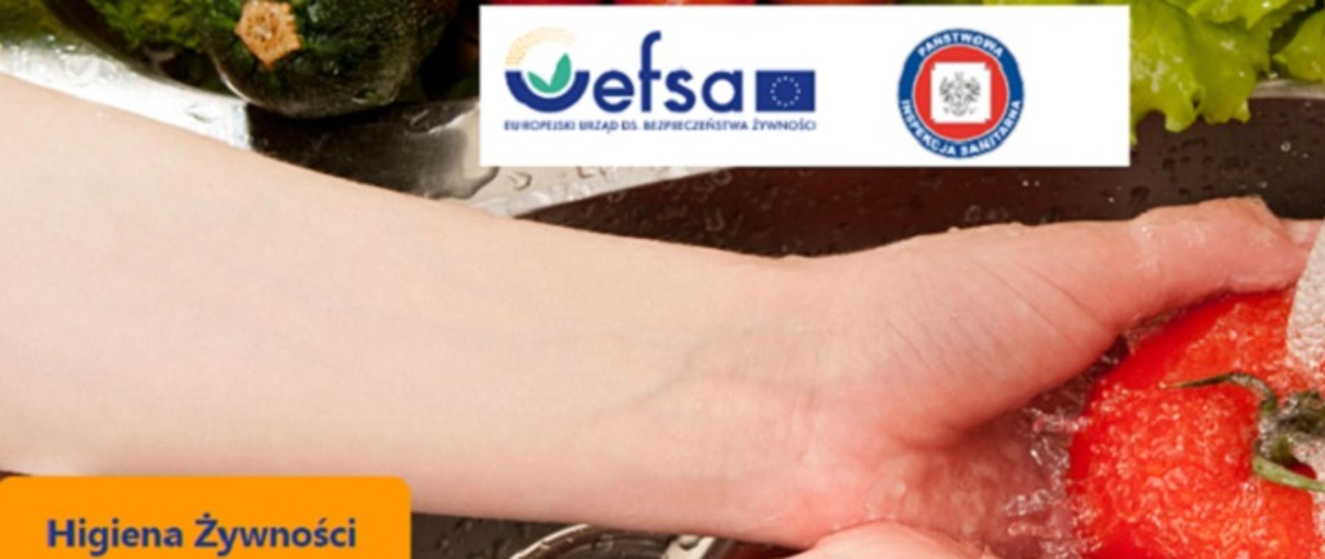 Green cucumber on a white background