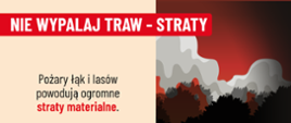 2Stop pożarom traw