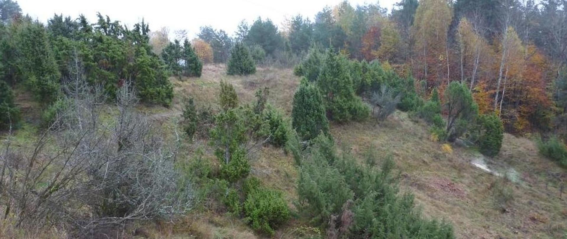 Działania ochronne w podkarpackich rezerwatach