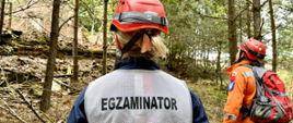 Dwie postaci stojące tyłem. Obie mają na głowach czerwone kaski, jedna z nich na plecach ma napis EGZAMINATOR, druga posiada plecach. Obie są w otoczeniu drzew – lasu. 
