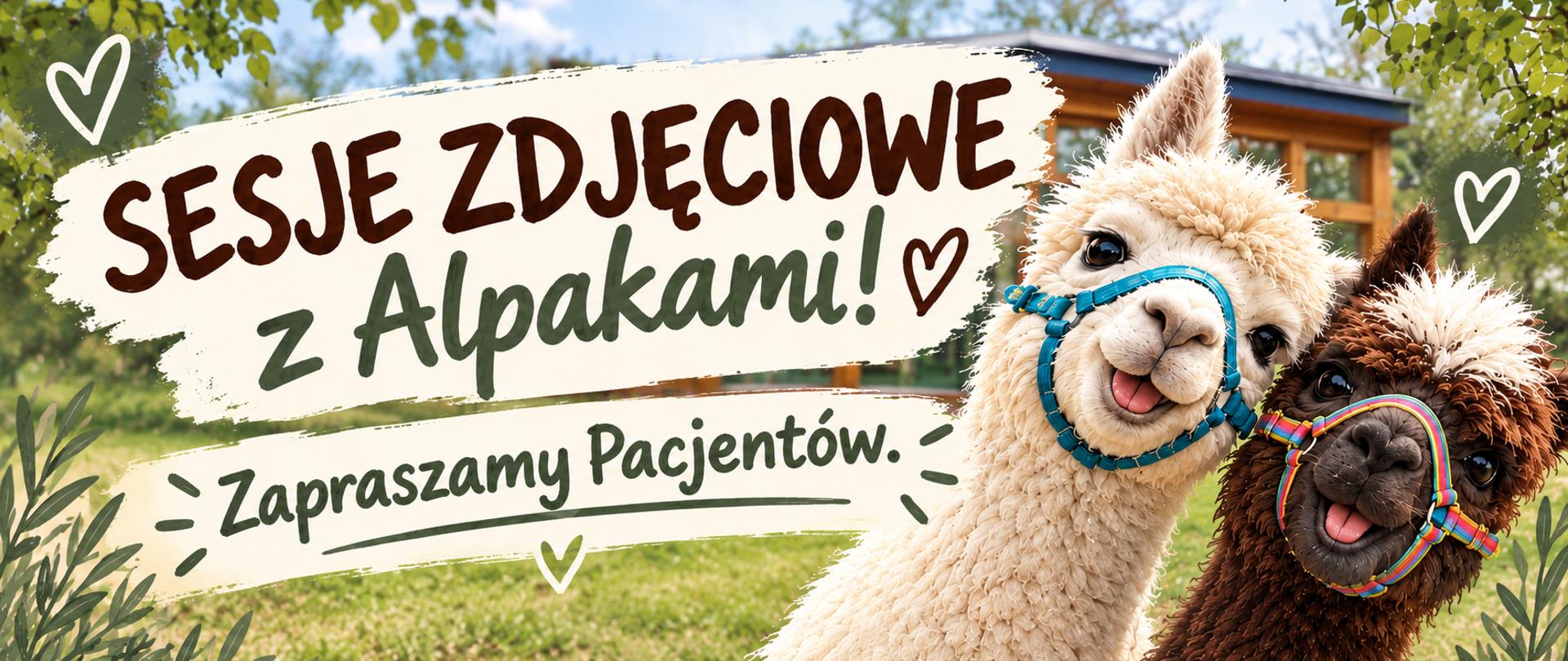 Sesje zdjęciowe z alpakami dla pacjentów naszego Centrum. 