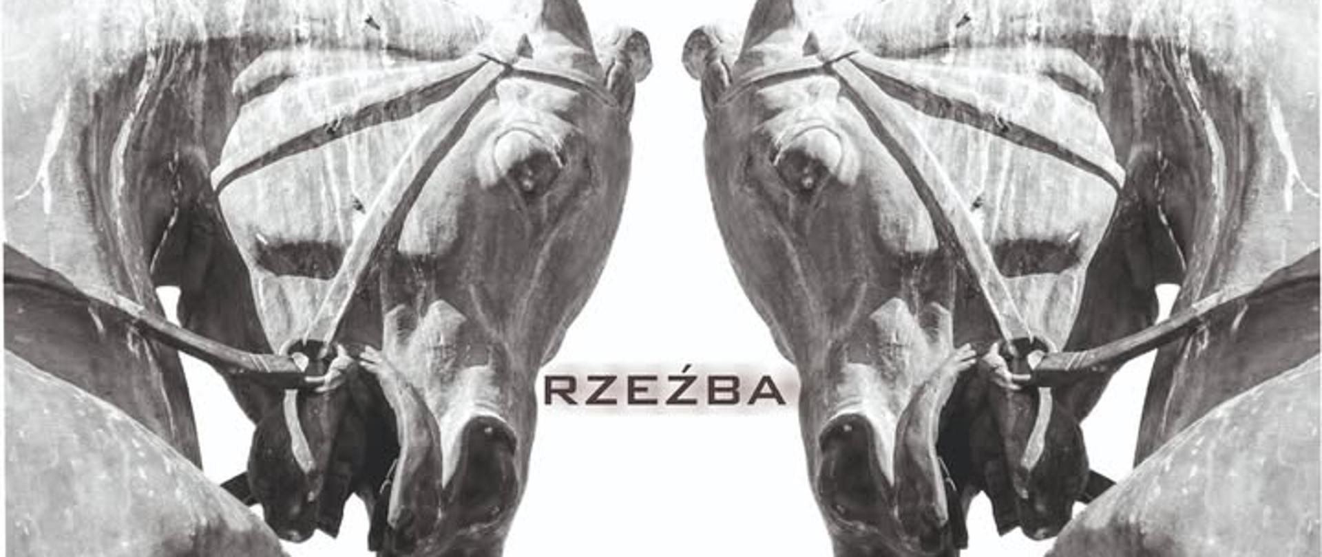 Plakat: na białym tle dwie kamienne szare końskie głowy zwrócone do siebie, napis: Warsztaty dla kandydatów, Rzeźba, 22.03.2025 10:00-14:00