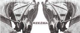 Plakat: na białym tle dwie kamienne szare końskie głowy zwrócone do siebie, napis: Rzeźba