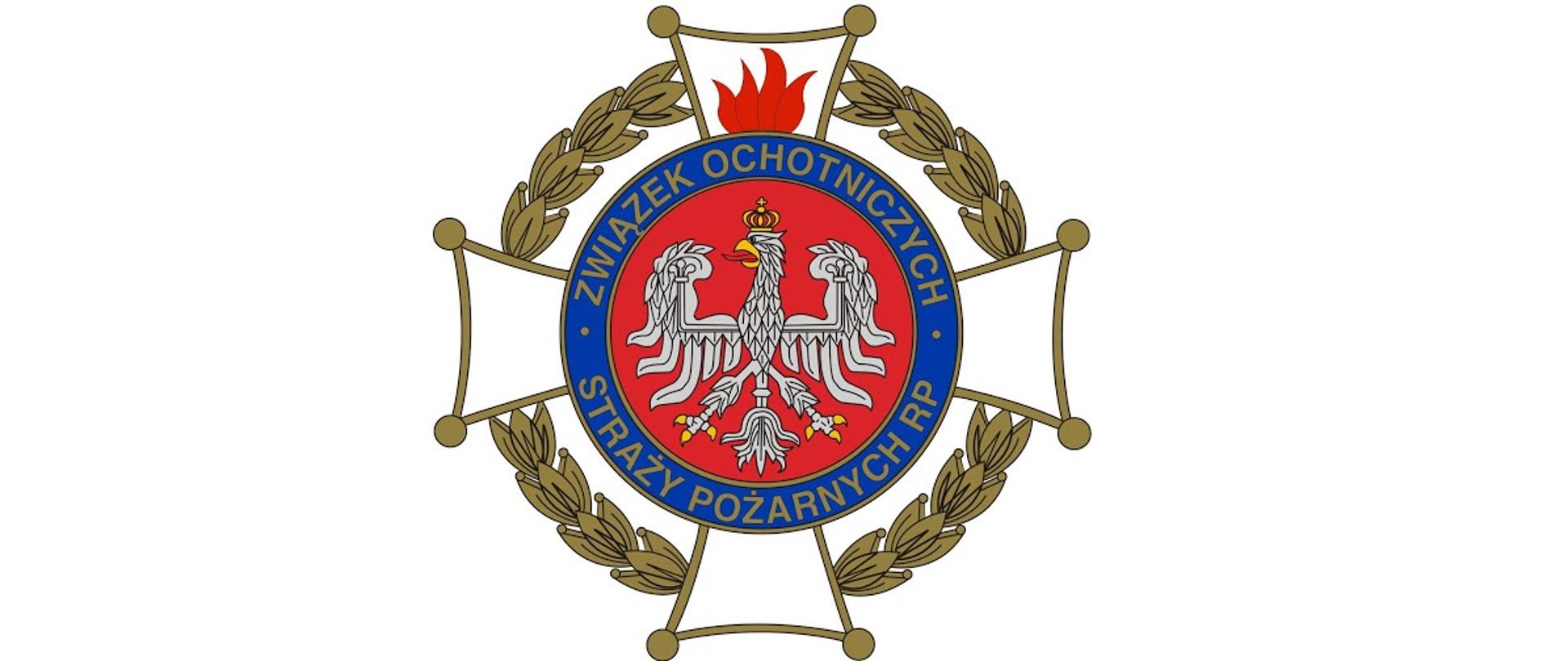 Logo ZOSP RP