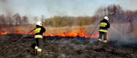 Na zdjęciu strażacy gaszący pożar traw